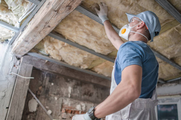 Best Insulation Maintenance and Repair in Columbia, KY