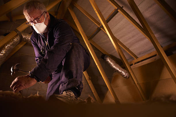 Best Residential Insulation in Columbia, KY